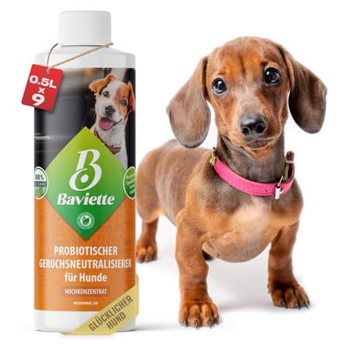 Baviette Hundeurin Neutralisieren bietet porentiefe Wirkung für Möbel, Polster, Teppich Auto, Tiergeruch, Urin Ammoniak zu entfernen Geruchsneutralisierer mit Bio Probiotika Power (Konzentrat 500ml) von Baviette