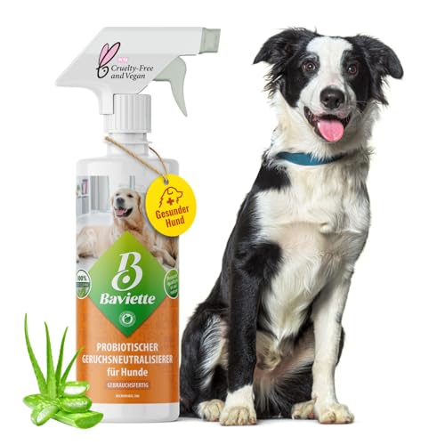 Baviette Hundeurin Neutralisieren bietet porentiefe Wirkung für Möbel, Polster, Teppich Auto, Tiergeruch, Urin Ammoniak zu entfernen Geruchsneutralisierer mit Bio Probiotika Power (Spray 500ml) von Baviette