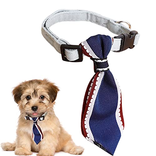 Bavokon Haustier-Krawatte | Verstellbare Hundekrawatten | Hundefliege mit Glocke, Krawattenkragen, Welpenpflegebänder für kleine Hunde und Katzen, Haustierzubehör von Bavokon