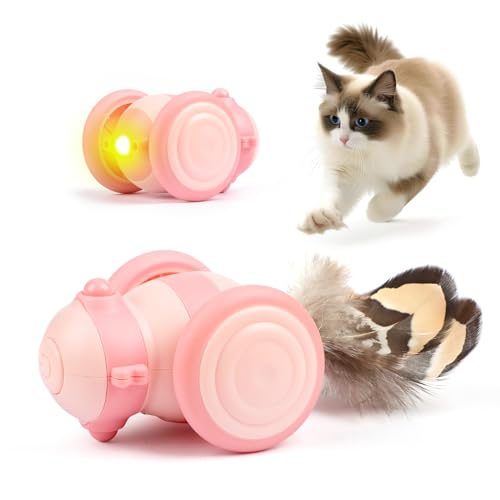 Baytion® Katzenspielzeug Selbstbeschäftigung, Interaktives Katzenspielzeug Automatischer，ideales Spielzeug für Katzen im Innenbereich mit LED-Leuchten und Federschwanz, wiederaufladbar, Rosa von Baytion