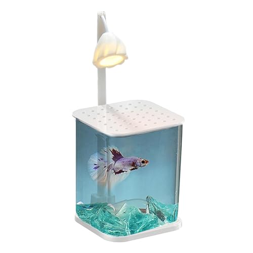 Aquarium, kleines Aquarium, Landschaftsglas-Fischtank, Glasbecken, Fischsäule für den Schreibtisch, mit Licht, transparentes Glasaquarium mit Nachtlicht für Fische, kleine Krabben, Quallen von Bbbabeslk