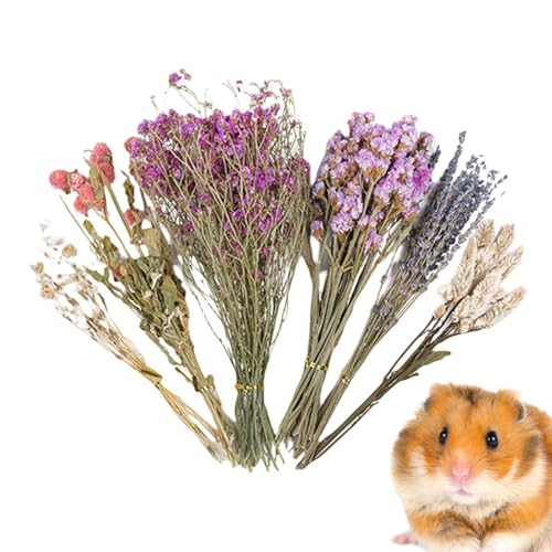 Blumenhamster-Bettwäsche – Tierblumen-Lebensraum- , natürliche Hamster-Bettwäsche Blumen, Hamster-Blumen-Bettwäsche, natürliches Thema, Käfigdekoration, Blumenhamster-Bettwäsche, Käfigzubehör für von Bbbabeslk