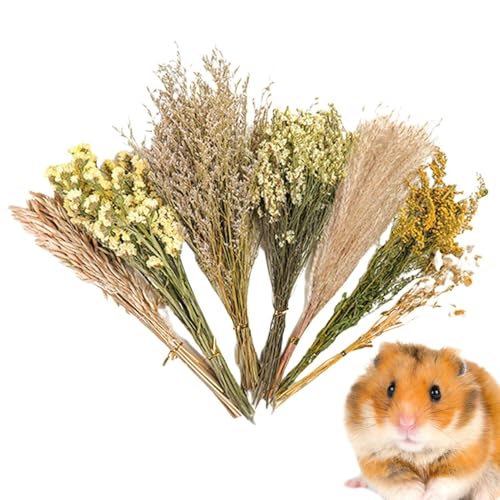 Blumenhamster-Bettwäsche – Tierblumen-Lebensraum- , natürliche Hamster-Bettwäsche Blumen, Hamster-Blumen-Bettwäsche, natürliches Thema, Käfigdekoration, Blumenhamster-Bettwäsche, Käfigzubehör für von Bbbabeslk