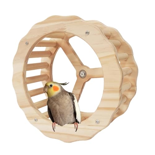 Papageien-Trainingsrad - Sittich-Übungsrad | Interaktives Spinner-Rad, Vogel-Trainingsrad, Vogelkäfig-Zubehör, Holz-Laufrad für Papageien, Wellensittiche, Nymphensittiche, Sittiche von Bbbabeslk