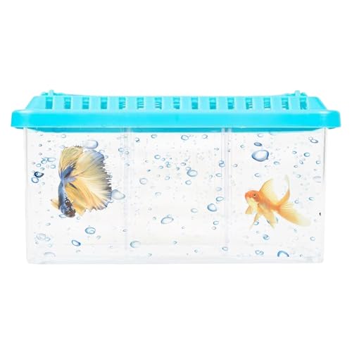 Schreibtisch-Aquarium, kleines Aquarium,Durchsichtiges Behälter-Fischaquarium mit herausnehmbaren Trennwänden - Kleine Fischschale mit Mehreren Fächern, dekoratives Aquarium-Starter-Set für Zuhause von Bbbabeslk