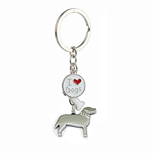bbeart® Dog Keyring Keychain, Schlüsselanhänger aus kleinem Hundemetall mit Schlüsselbund Keyring Key Tags Car Keyring Pocket Charm Golden Retriever C von BbearT