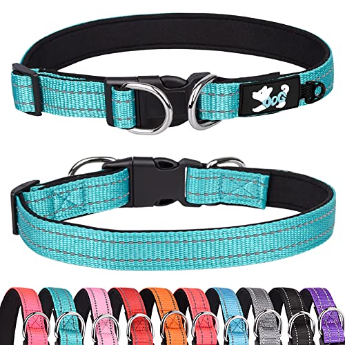 Bbmmayy Gepolstertes Hundehalsband Reflektierend Hundehalsbänder für kleine mittel große Hunde Bequemes Weiches Neopren Verstellbar Basic Hundehalsbänder (M, Grün) von Bbmmayy