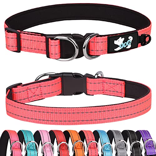 Bbmmayy Gepolstertes Hundehalsband Reflektierend Hundehalsbänder für kleine mittel große Hunde Bequemes Weiches Neopren Verstellbar Basic Hundehalsbänder (M, Hot Pink) von Bbmmayy