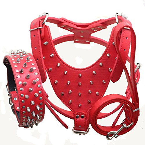 Bbmmayy Hundegeschirr und Halsband, Leder, mit Spikes, für große Rassen, Bullterrier, Labrador, Dobermann, strapazierfähiges Ledergeschirr mit Metallnieten und passender Halsband-Leine, 3-teiliges Set von Bbmmayy