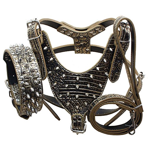 Bbmmayy Hundegeschirr und Halsband, Leder, mit Spikes, für große Rassen, Bullterrier, Labrador, Dobermann, strapazierfähiges Ledergeschirr mit Metallnieten und passender Halsband-Leine, 3-teiliges Set von Bbmmayy