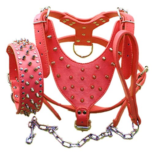 Bbmmayy Hundegeschirr und Halsband aus Leder, mit Spikes, geeignet für große Rassen, Bullterrier, Dobermänner, strapazierfähiges Ledergeschirr mit Metallnieten und passender Halsband-Leine (L, von Bbmmayy