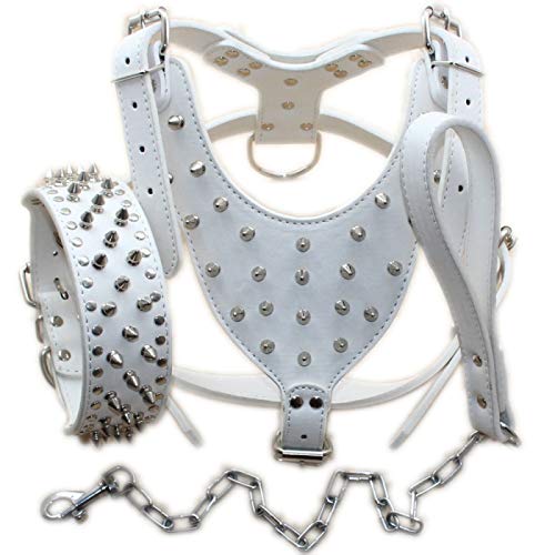 Bbmmayy Hundegeschirr und Halsband aus Leder mit Spikes, geeignet für große Rassen, Bullterrier, Dobermänner, strapazierfähiges Ledergeschirr mit Metallnieten und passender Halsband-Leine (M, Studs von Bbmmayy