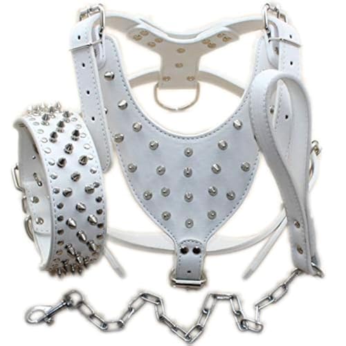 Bbmmayy Hundegeschirr und Halsband aus Leder mit Spikes, geeignet für große Rassen, Bullterrier, Dobermänner, strapazierfähiges Ledergeschirr mit Metallnieten und passender Halsband-Leine (XL, von Bbmmayy