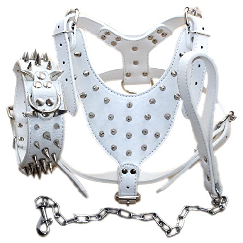 Bbmmayy Hundegeschirr und Halsband aus Leder mit Spikes, geeignet für große Rassen, Bullterrier, Dobermann, strapazierfähiges Ledergeschirr mit Metallnieten und passender Halsband-Leine (L, Spikes, von Bbmmayy