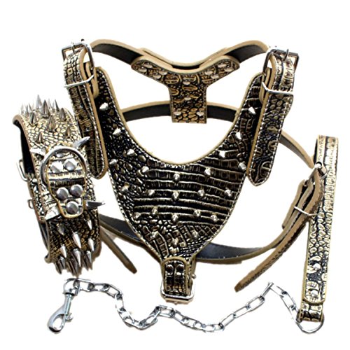 Bbmmayy Hundegeschirr und Halsband aus Leder mit Spikes, geeignet für große Rassen, Bullterrier, Dobermann, strapazierfähiges Ledergeschirr mit Metallnieten und passender Halsband-Leine (L, Spikes, von Bbmmayy