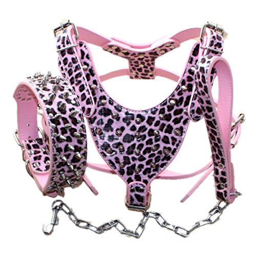 Bbmmayy Hundegeschirr und Halsband aus Leder mit Spikes, geeignet für große Rassen, Bullterrier, Dobermann, strapazierfähiges Ledergeschirr mit Metallnieten und passender Halsband-Leine (XL, Nieten, von Bbmmayy