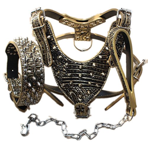 Bbmmayy Hundegeschirr und Halsband aus Leder mit Spikes, geeignet für große Rassen, Bullterrier, Dobermann, strapazierfähiges Ledergeschirr mit Metallnieten und passender Halsband-Leine (XL, Nieten, von Bbmmayy