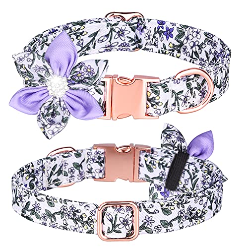 Bbmmayy Hundehalsband, Mädchen Hundehalsband Welpenhalsband Blumenmuster Hundehalsband Niedliches Hundehalsband mit Abnehmbar Strass Blume für Hündinnen Klein Mittel Groß (L, Lila/Weiß) von Bbmmayy