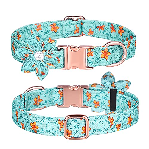 Bbmmayy Hundehalsband, Mädchen Hundehalsband Welpenhalsband Blumenmuster Hundehalsband Niedliches Hundehalsband mit Abnehmbar Strass Blume für Hündinnen Kleine Mittel Groß (L, Blau) von Bbmmayy