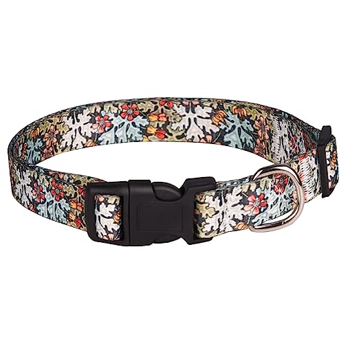 Bbmmayy Hundehalsband für kleine, mittelgroße und große Hunde, niedliches Mädchenhalsband für Hunde, weich, verstellbar, ausgefallenes Blumenmädchen, Welpen, Hundehalsbänder, Training (XL, Grün) von Bbmmayy