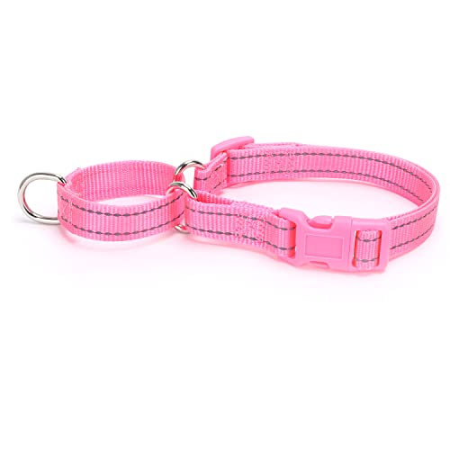 Bbmmayy Martingale Hundehalsbänder - Reflektierendes Hundehalsband mit Schnellverschluss-Schnalle Verstellbares Nylon-Trainingshalsband für Welpen Kleine Mittlere Große Hunde (S, Rosa) von Bbmmayy