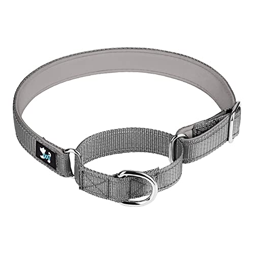 Bbmmayy Martingale Hundehalsband, reflektierendes Martingale-Halsband, Martingale-Hundehalsbänder für kleine, mittelgroße und große Hunde, Größe L: 2,5 cm breit für Halsumfang von 42–60 cm, Grau) von Bbmmayy