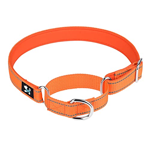 Bbmmayy Martingale Hundehalsband, reflektierendes Nylon, Martingale-Halsbänder, Training, Martingale-Hundehalsbänder für kleine, Größe L: 2.5 cm breit für Halsumfang von 42–60 cm, orange) von Bbmmayy