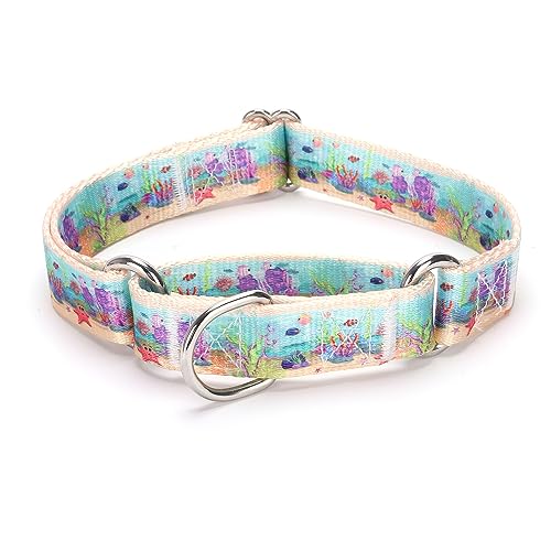 Bbmmayy Martingale Hundehalsband, verstellbar, weich, bunte Blumen, mehrfarbig, niedliches Muster für Welpen für mittelgroße und große Hunde, zum Spazierengehen, Laufen, Training, L: 2,5 cm breit für von Bbmmayy