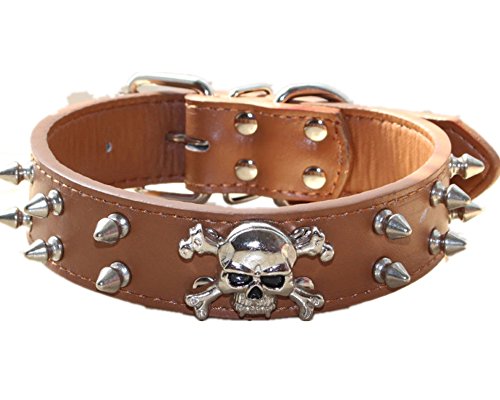 Bbmmayy Spiked Leder Hundehalsband, 2 Reihen Bullet Rivets Nieten Nieten PU Leder, Cool Skull Pet Halsband für mittelgroße und große Hunde (L, Braun) von Bbmmayy