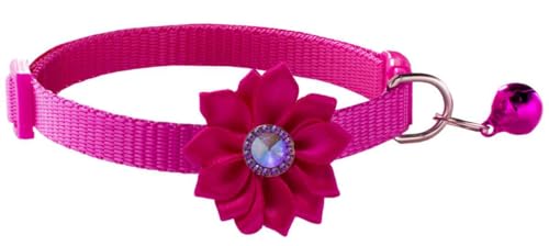 Katzenhalsband mit Glöckchen, Blumendekoration, XS, niedlich, ausgefallenes Welpenhalsband mit Glöckchen, für XXS, XS, kleines Kätzchen, Hündinnen, Halsumfang 17,8 - 30,5 cm, Hot Pink, Halsumfang 17,8 von Bbmmayy