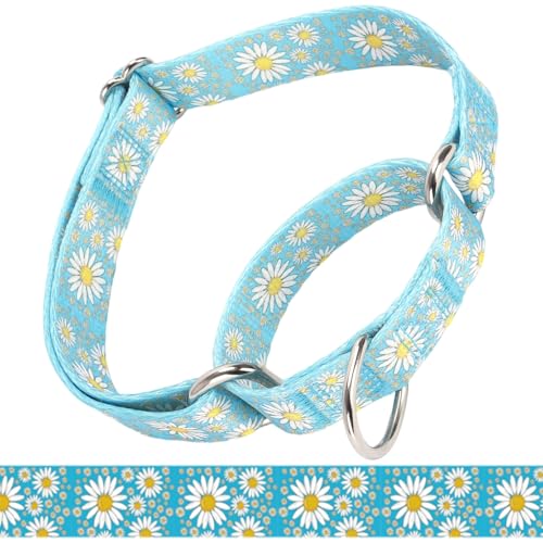 Martingale Halsband für mittelgroße Hunde, Mädchen-Hundehalsband mit Gänseblümchen, strapazierfähig, kein Ziehen, Hundehalsband, Blumendesign, Hundetrainingshalsband, perfekt für Training, Walking, von Bbmmayy