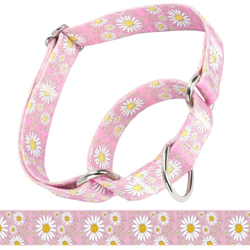 Martingale Halsband für mittelgroße Hunde, Mädchen-Hundehalsband mit Gänseblümchen, strapazierfähig, kein Ziehen, Hundehalsband, Blumendesign, Hundetrainingshalsband, perfekt für Training, Walking, von Bbmmayy