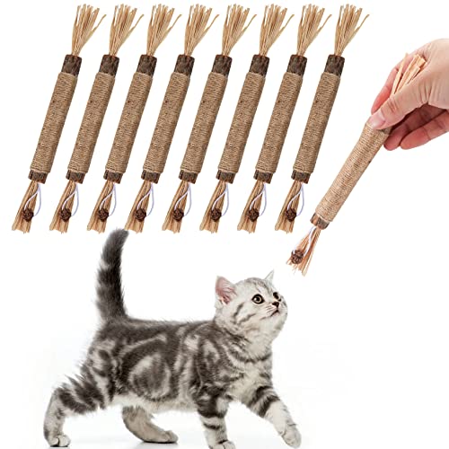 Bbtcxjs 8 Stück Katzenminze Sticks, Matatabi Kaustäbchen, Kausticks für Katzen, Katzen Zahnpflege Spielzeug, Katzenminze Spielzeugstäbchen für Katzen im Innenbereich, Kätzchen, Zahnreinigung von Bbtcxjs