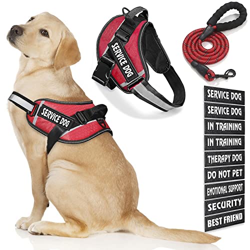 Bcadem Service Dog Vest, 9 Dog Patches No Pull Dog Harness and Leash Set with Handle, Easy On and Off Pet Vest Harness with Night Safe Reflective Straps for Small Medium Large Breed Dogs von Bcadem