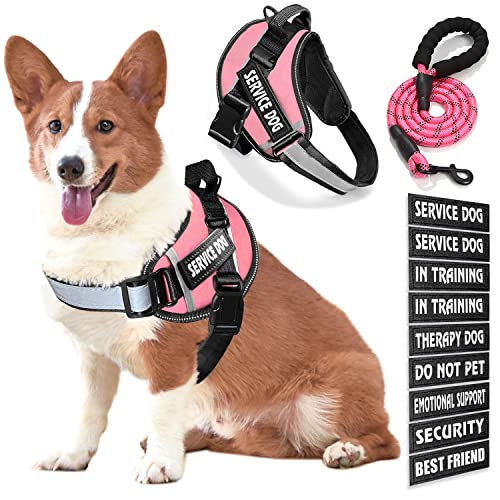 Bcadem Service Dog Vest, 9 Dog Patches No Pull Dog Harness and Leash Set with Handle, Easy On and Off Pet Vest Harness with Night Safe Reflective Straps for Small Medium Large Breed Dogs von Bcadem