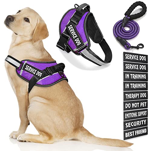 Bcadem Service Dog Vest, 9 Dog Patches No Pull Dog Harness and Leash Set with Handle, Easy On and Off Pet Vest Harness with Night Safe Reflective Straps for Small Medium Large Breed Dogs von Bcadem