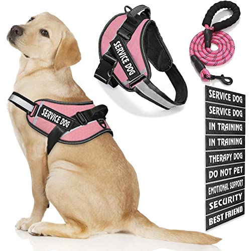 Bcadem Service Dog Vest, 9 Dog Patches No Pull Dog Harness and Leash Set with Handle, Easy On and Off Pet Vest Harness with Night Safe Reflective Straps for Small Medium Large Breed Dogs von Bcadem