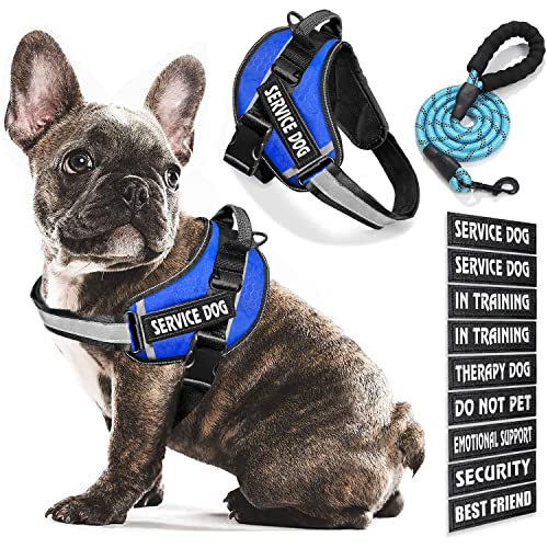 Bcadem Service Dog Vest, 9 Dog Patches No Pull Dog Harness and Leash Set with Handle, Easy On and Off Pet Vest Harness with Night Safe Reflective Straps for Small Medium Large Breed Dogs von Bcadem