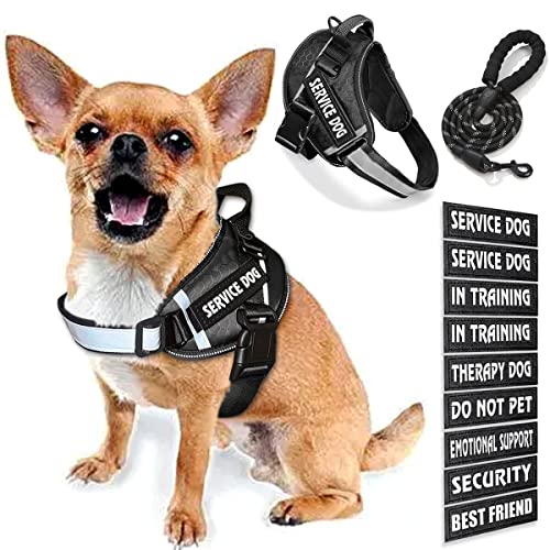 Bcadem Service Dog Vest, 9 Dog Patches No Pull Dog Harness and Leash Set with Handle, Easy On and Off Pet Vest Harness with Night Safe Reflective Straps for Small Medium Large Breed Dogs von Bcadem