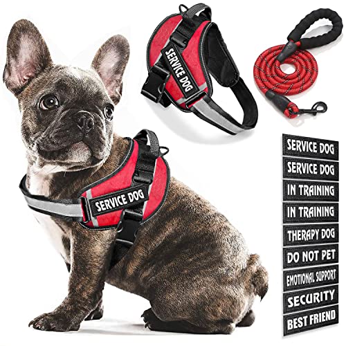 Bcadem Service Dog Vest, 9 Dog Patches No Pull Dog Harness and Leash Set with Handle, Easy On and Off Pet Vest Harness with Night Safe Reflective Straps for Small Medium Large Breed Dogs von Bcadem