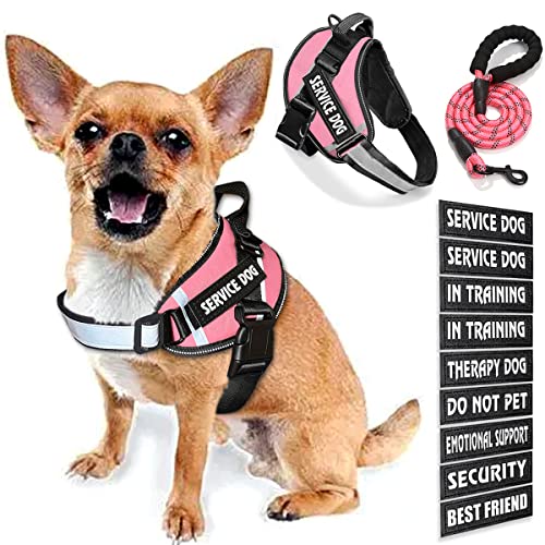 Bcadem Service Dog Vest, 9 Dog Patches No Pull Dog Harness and Leash Set with Handle, Easy On and Off Pet Vest Harness with Night Safe Reflective Straps for Small Medium Large Breed Dogs von Bcadem