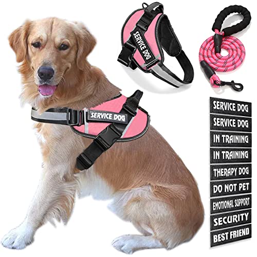 Bcadem Service Dog Vest, 9 Dog Patches No Pull Dog Harness and Leash Set with Handle, Easy On and Off Pet Vest Harness with Night Safe Reflective Straps for Small Medium Large Breed Dogs von Bcadem