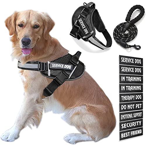 Bcadem Service Dog Weste, 9 Dog Patches No Pull Dog Harness and Leash Set with Handle Easy On and Off Pet Vest Harness with Night Safe Reflective Straps for Small Medium Large Breed Dogs von Bcadem