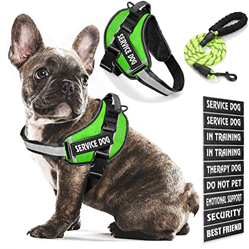 Bcadem Service Dog Weste, 9 Dog Patches No Pull Dog Harness and Leash Set with Handle Easy On and Off Pet Vest Harness with Night Safe Reflective Straps for Small Medium Large Breed Dogs von Bcadem