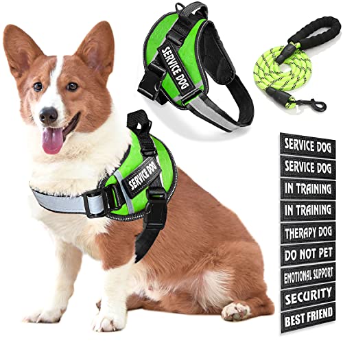 Bcadem Service Dog Weste, 9 Dog Patches No Pull Dog Harness and Leash Set with Handle Easy On and Off Pet Vest Harness with Night Safe Reflective Straps for Small Medium Large Breed Dogs von Bcadem