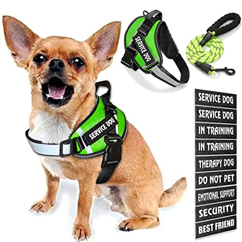 Bcadem Service Dog Weste, 9 Dog Patches No Pull Dog Harness and Leash Set with Handle Easy On and Off Pet Vest Harness with Night Safe Reflective Straps for Small Medium Large Breed Dogs von Bcadem