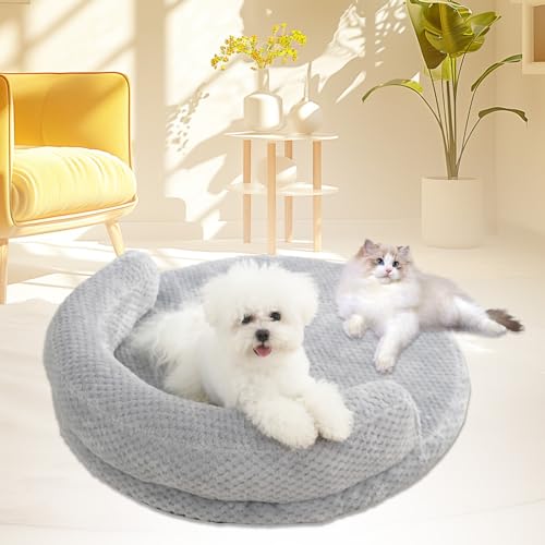 Bcuuozeeing Orthopädisches Hundebett, Orthopädisches Hundebett Mittelgroße Hunde, Hundebett Waschbar, Dog Bed 60cm Superweich Katzenbett mit Rutschfester Unterseite, Geeignet für Katzen Hunde von Bcuuozeeing