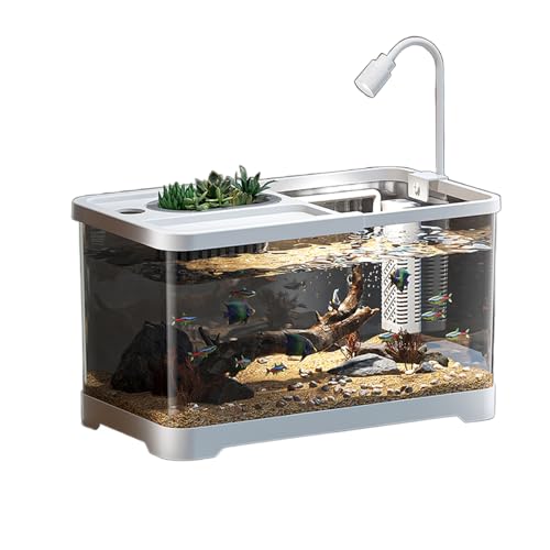 Acrylic Turtle Starter Kit - Adjustable Lamp, Multi-Functional Reptile Habitat for Small Turtles & Reptiles Acrylic Turtle Starter Kit - Adjustable Lamp, Multi-Functional Reptile Habitat for Small Turtles & Reptiles von Bderkz