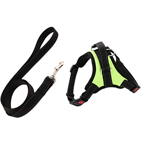 Bdfhjln Hunde Geschirr Leine Set Einstellbare Atmungsaktive Hund Katze Kragen Weste Harness für Hund Welpen Haustier Brust Gurt Hunde ZubehöR GrüN L von Bdfhjln