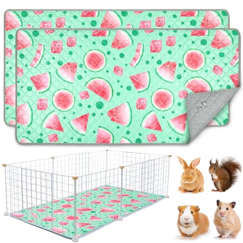 BeBeJoJo 2 Pack Wiederverwendbare PIPI Pads für Meerschweinchen,120x60CM,Waschbar und Super Saugfähige Unterlagen Käfigmatte,Kleintiermatten für Kaninchen,Hamster,Blau von BeBeJoJo